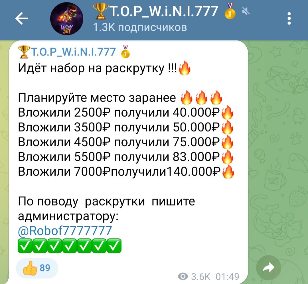 ТOP WiNI 7777 прибыль