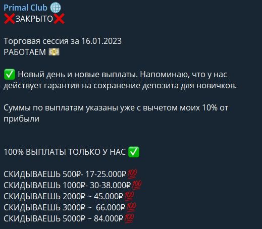 Primal Club прибыль