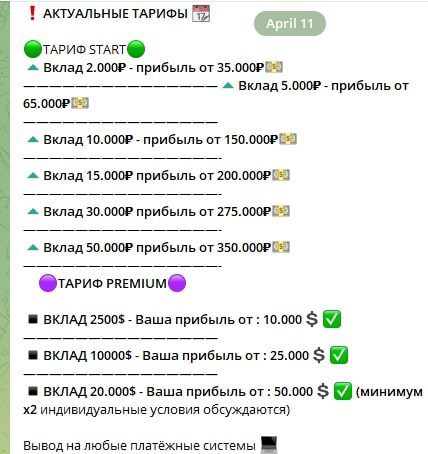 Shark Finance прибыль