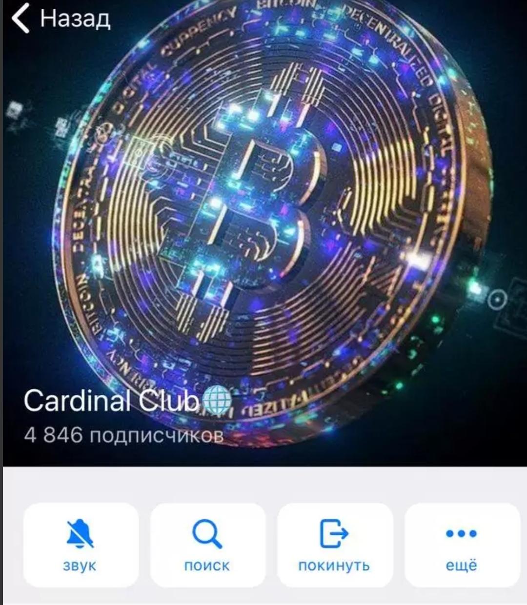 Cardinal Club телеграмм