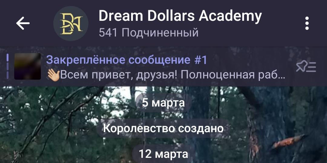 Dream Dollars телеграмм