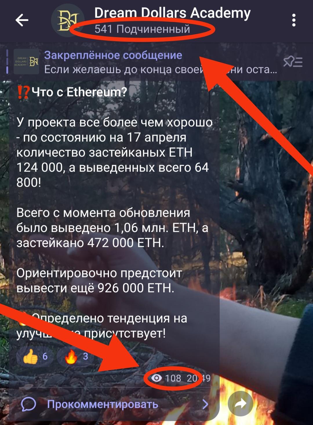 Dream Dollars телеграмм