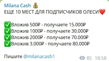 Milana Cash прибыль