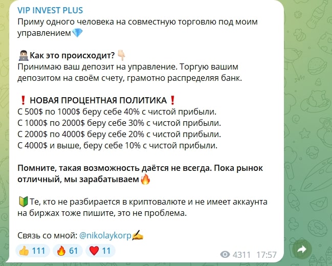 VIP Invest Plus прибыль