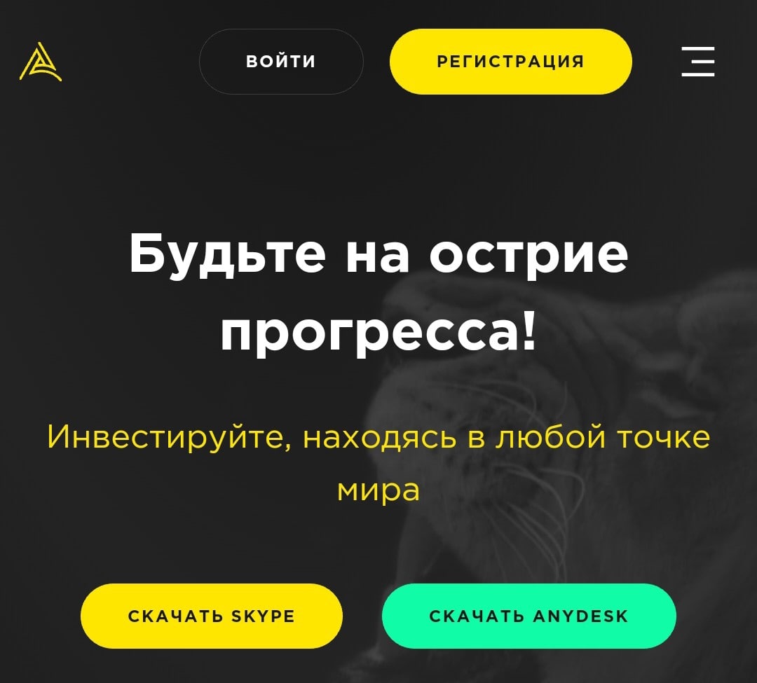 Digital Lion ltd сайт