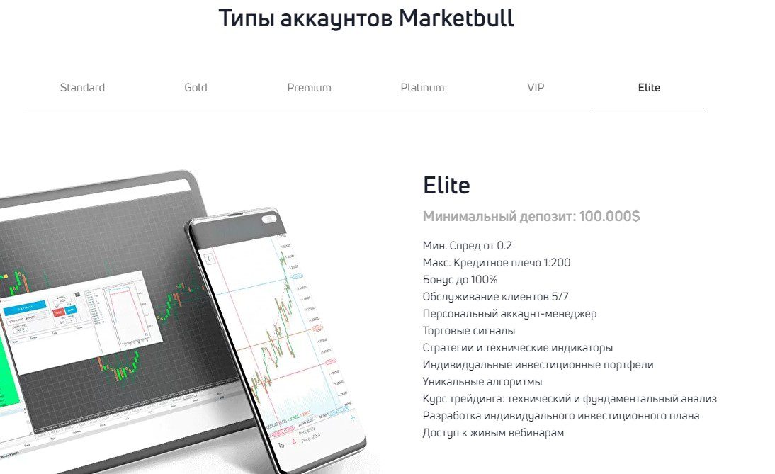 Типы аккаунтов Market Bull