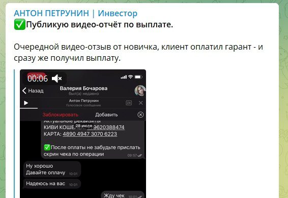 Антон Петрунин Инвестор