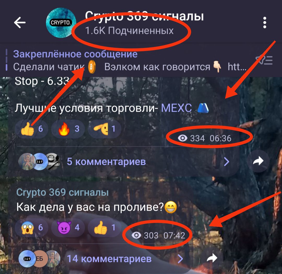 Crypto 369 телеграм