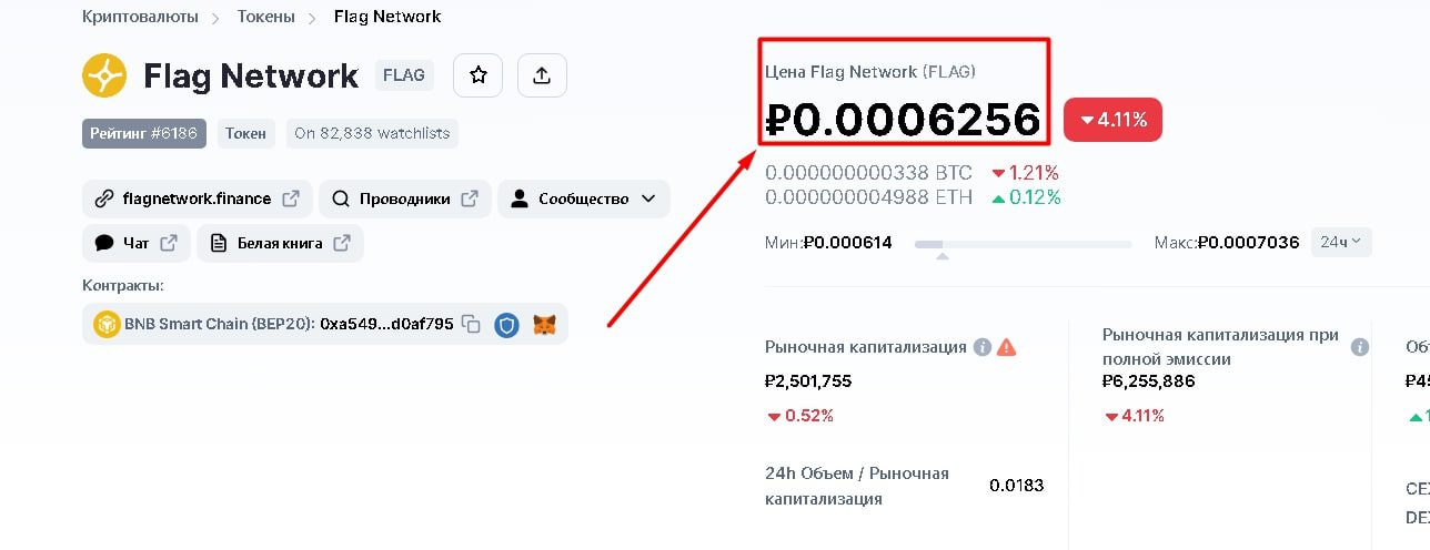 Flag network finance деньги