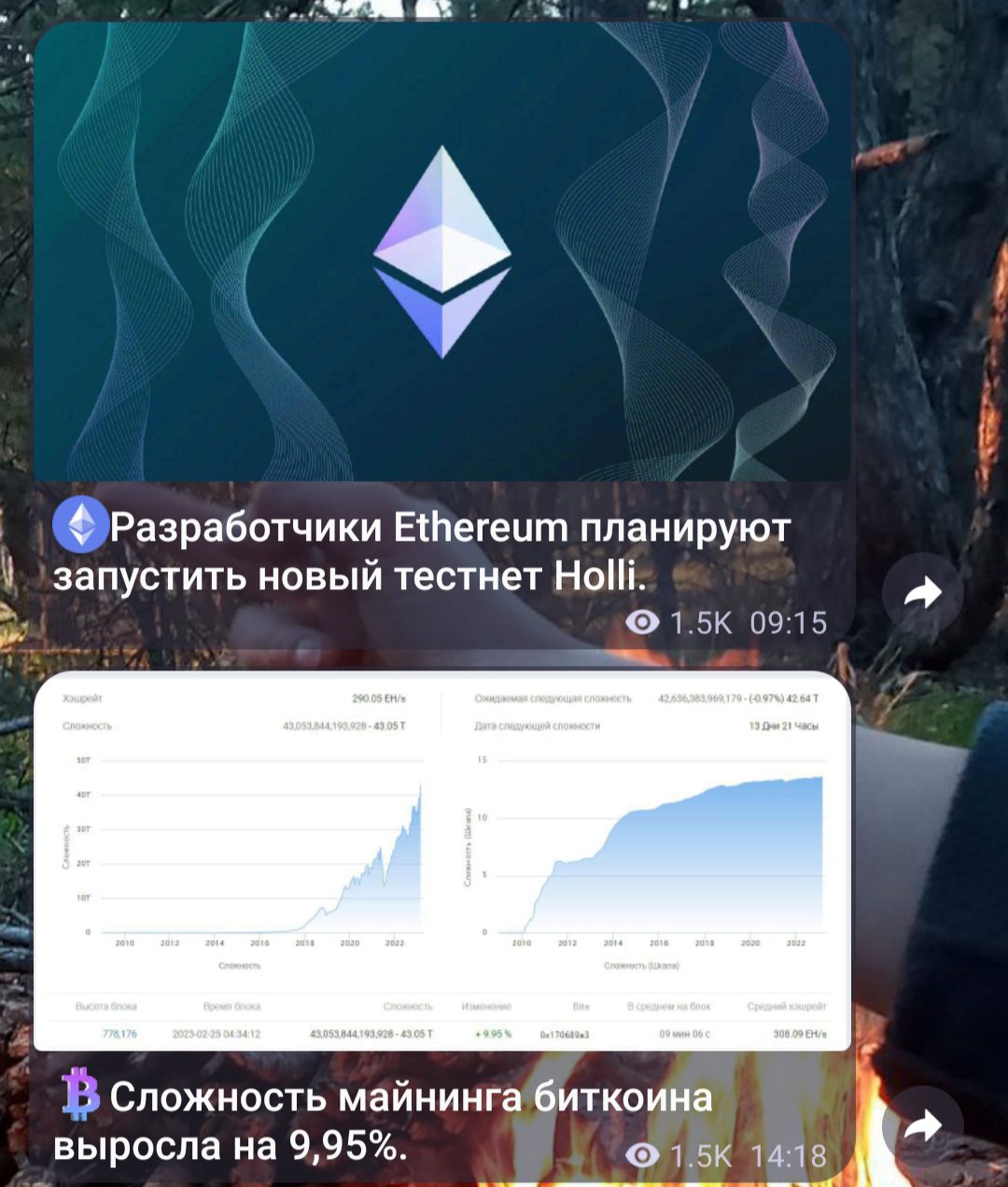 Crypto Bull телеграмм