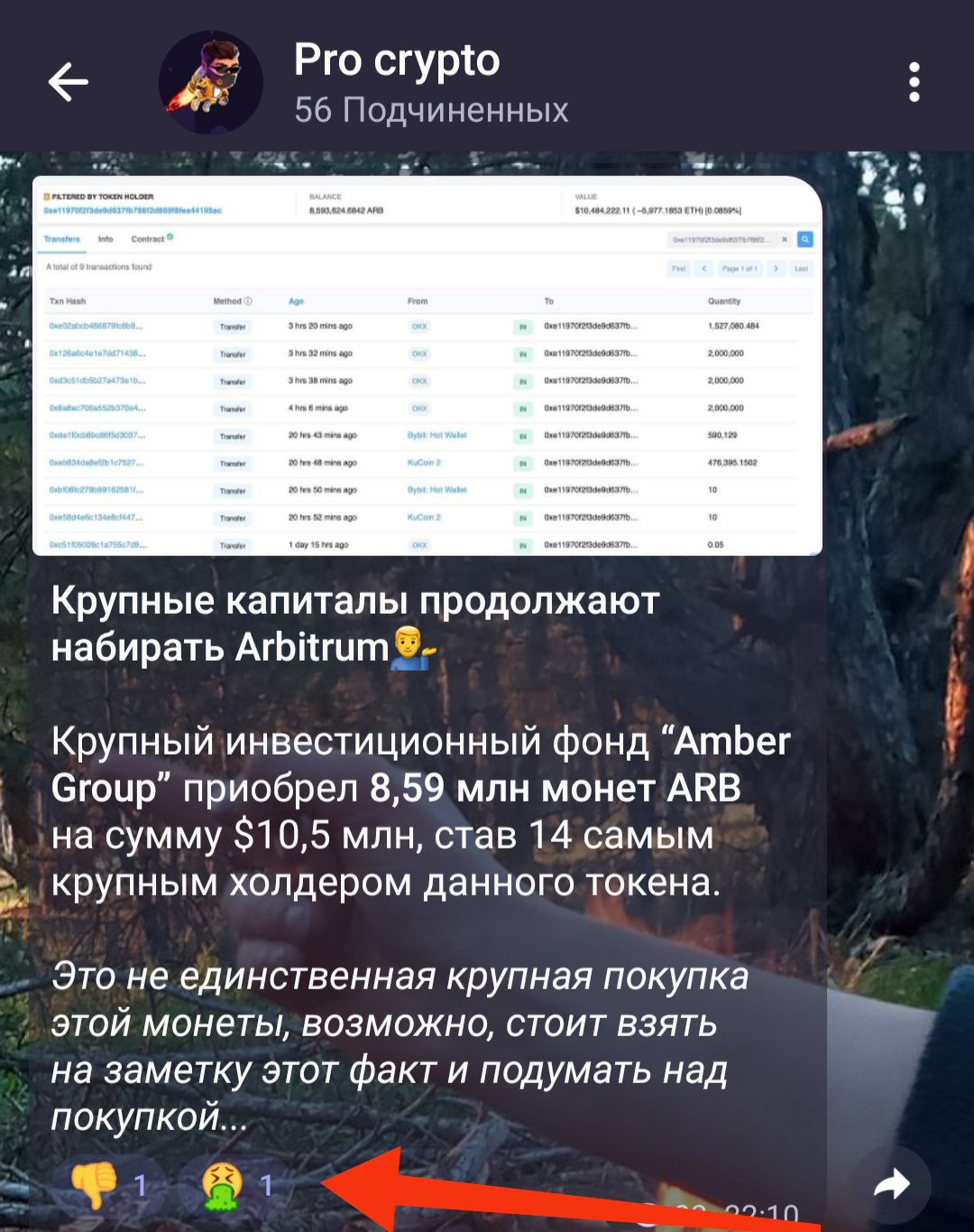 Владислав Король telegram