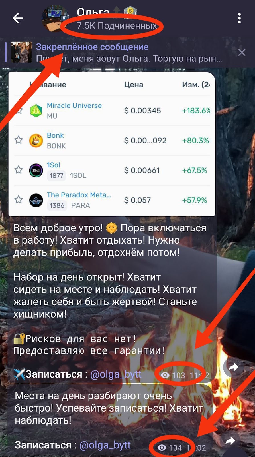 Ольга Investment telegram