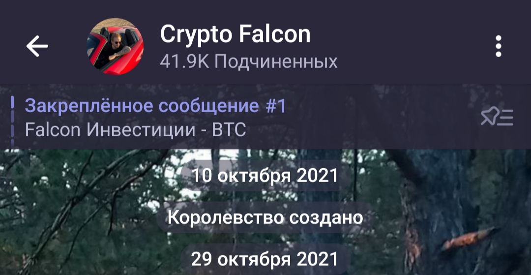 Crypto Falcon телеграмм