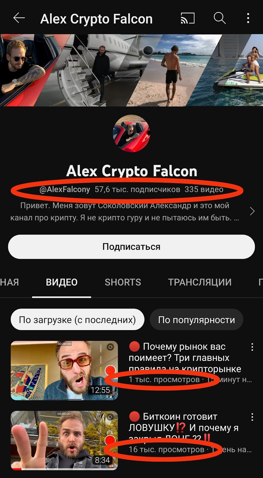 Crypto Falcon ютуб