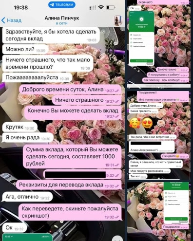 Еlenainvestorofficial отзывы