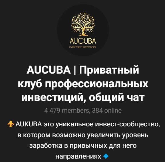 AUCUBA инвестиции