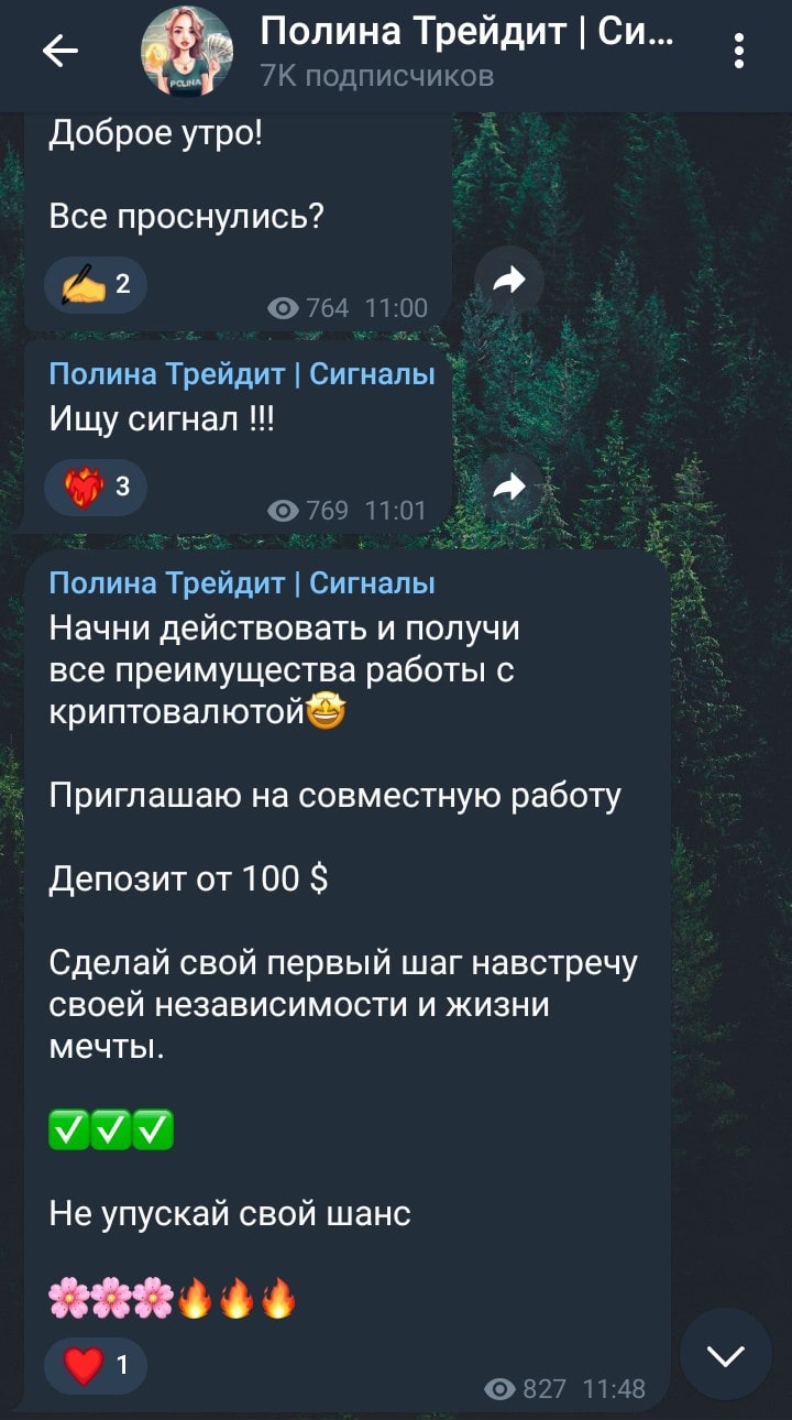 Полина Трейдит телеграмм