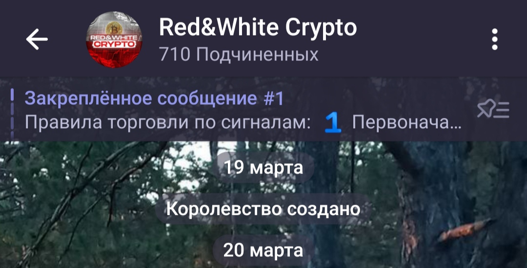 Red White Crypto телеграмм