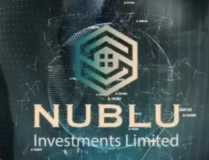 nublu investments limited проект