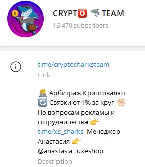 crypto team телеграмм