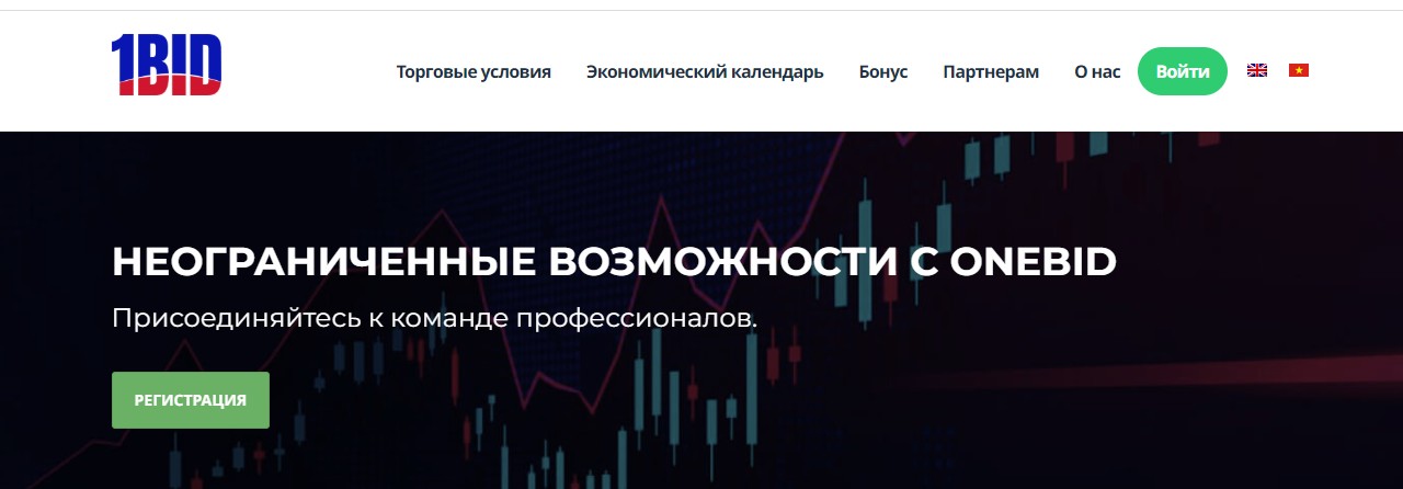 1BID обзор сайта