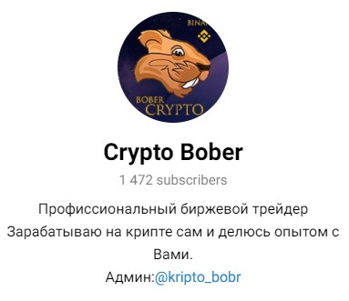 Crypto bober телеграм