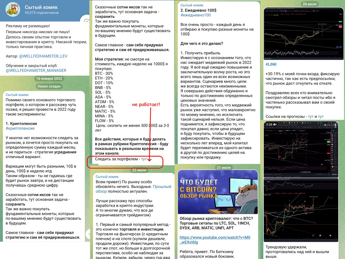 Сытый Хомяк телеграм канал