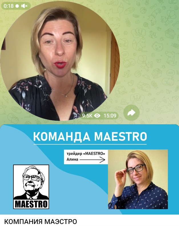 телеграмм канал maestro