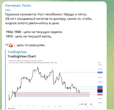 пармезан форекс трейдер телеграм