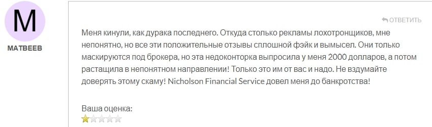 Nicholson Financial Service отзыв 1