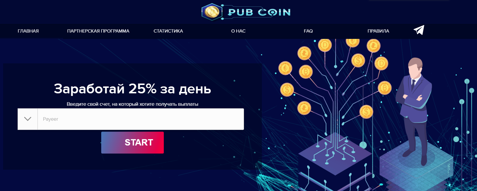 Сервис Rub-Coin