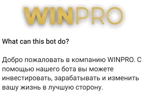 WINPRO GROUP bot обзор канала