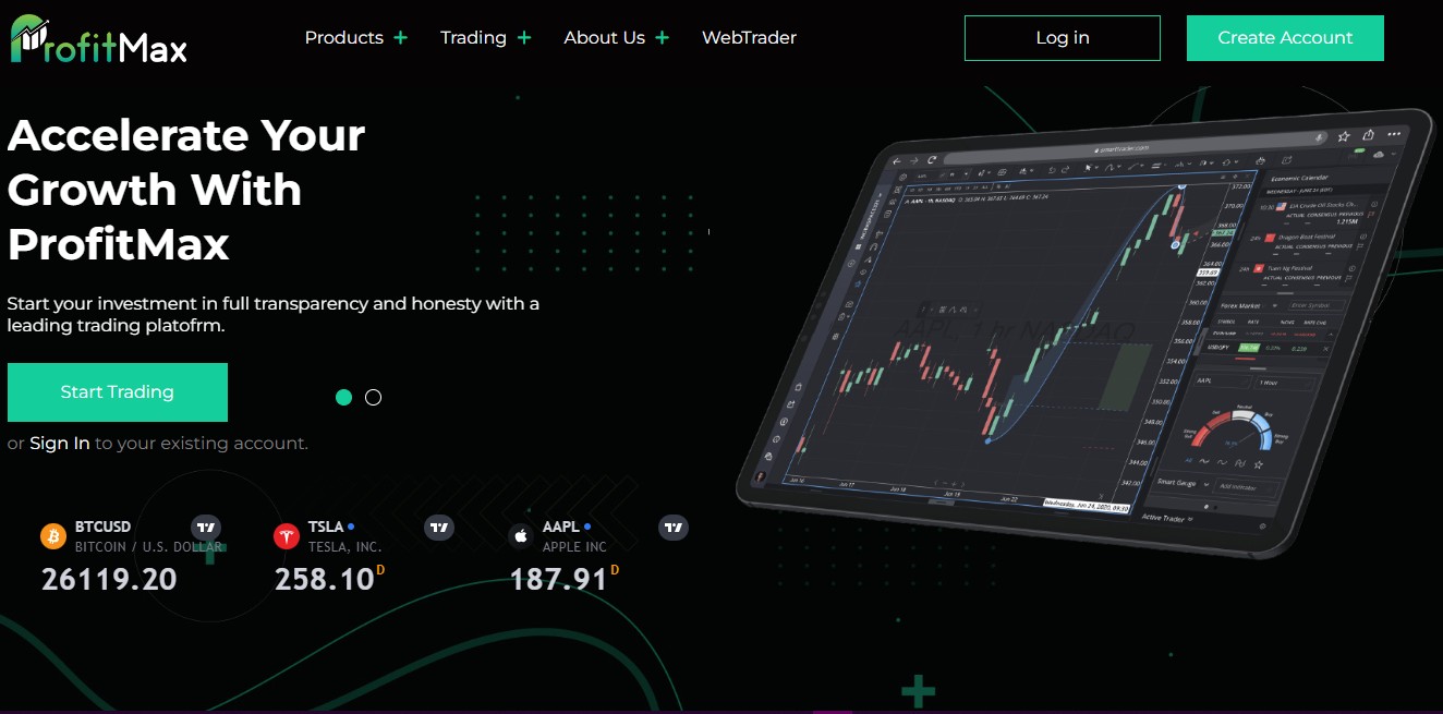 Profit Max обзор проекта