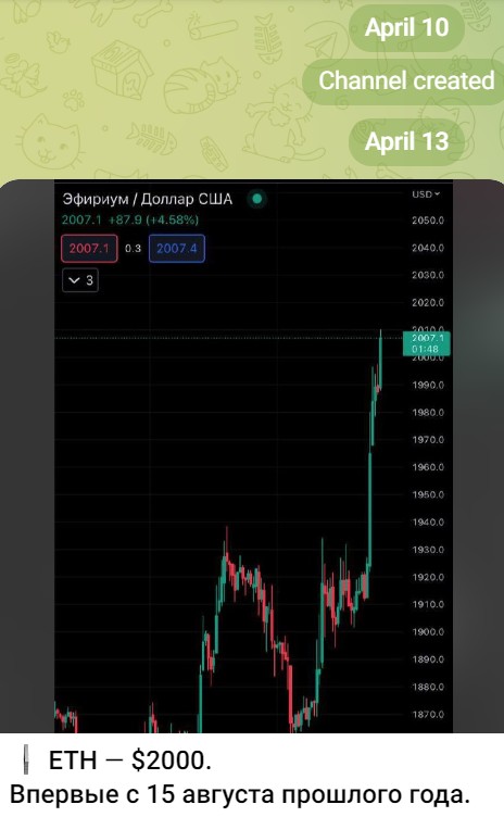 bermuda trader телеграм