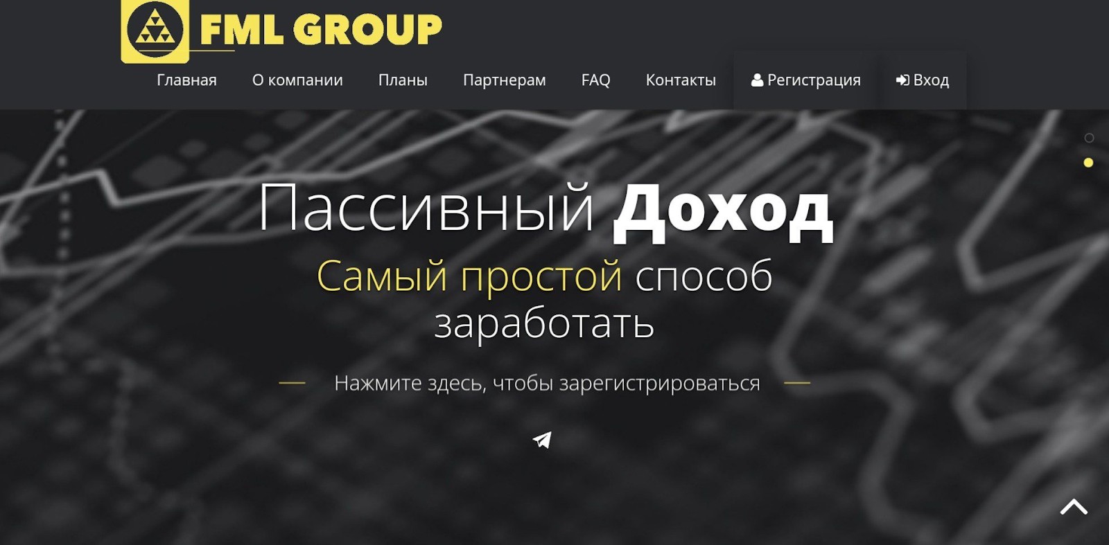 FML Group обзор компании