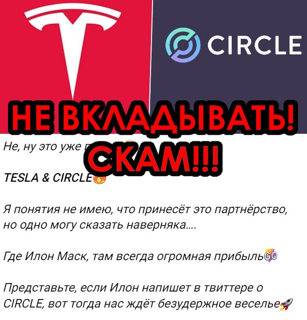 токен circle скам