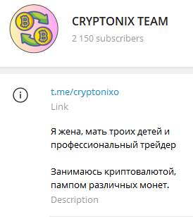 Cryptonix Team обзор