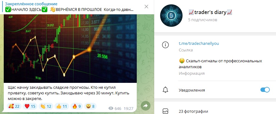 Что предлагает Traders Diaries