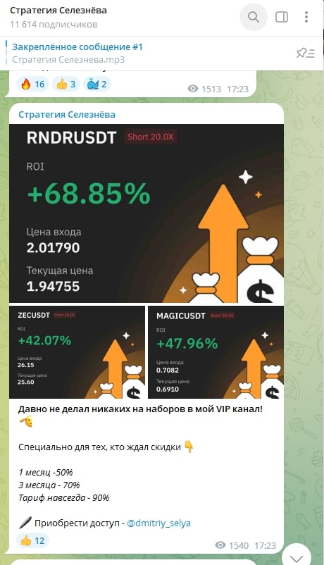 Стратегия Селезнева телеграмм