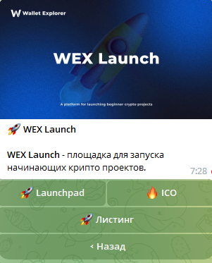 Wallet Explorer меню 4