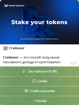 Wallet Explorer меню 3