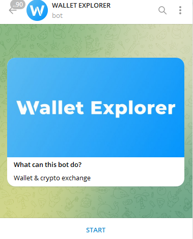 Wallet Explorer информаци