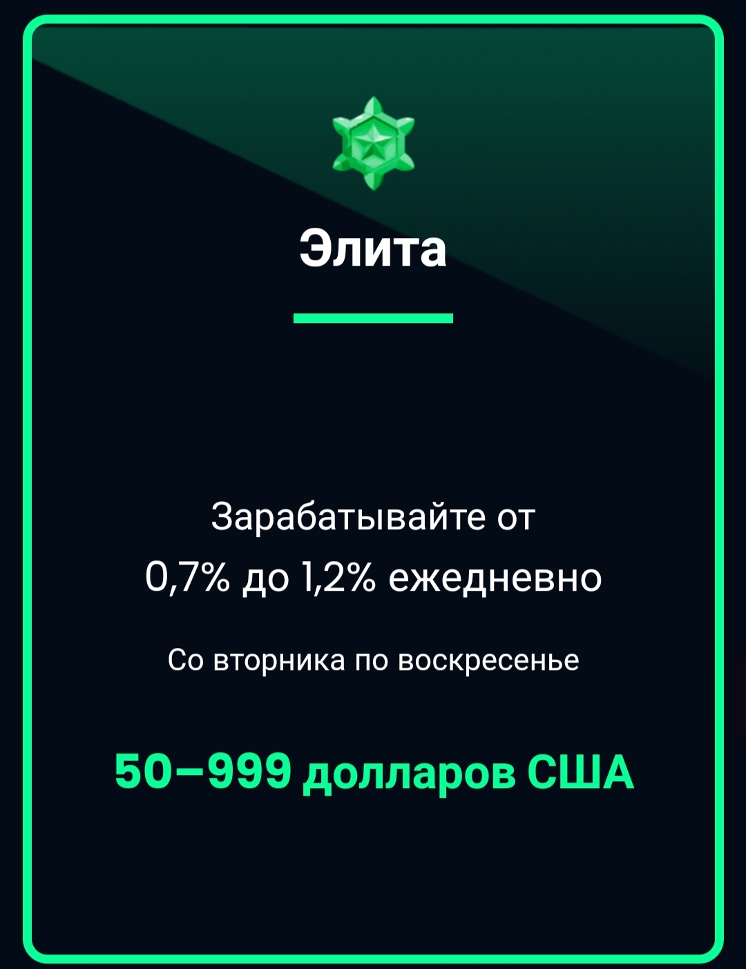 Проект Bitsports.ai