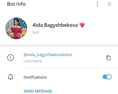 Aida bagyshbekova bot телеграм