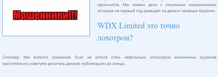 Отзыв на проект WDX Limited