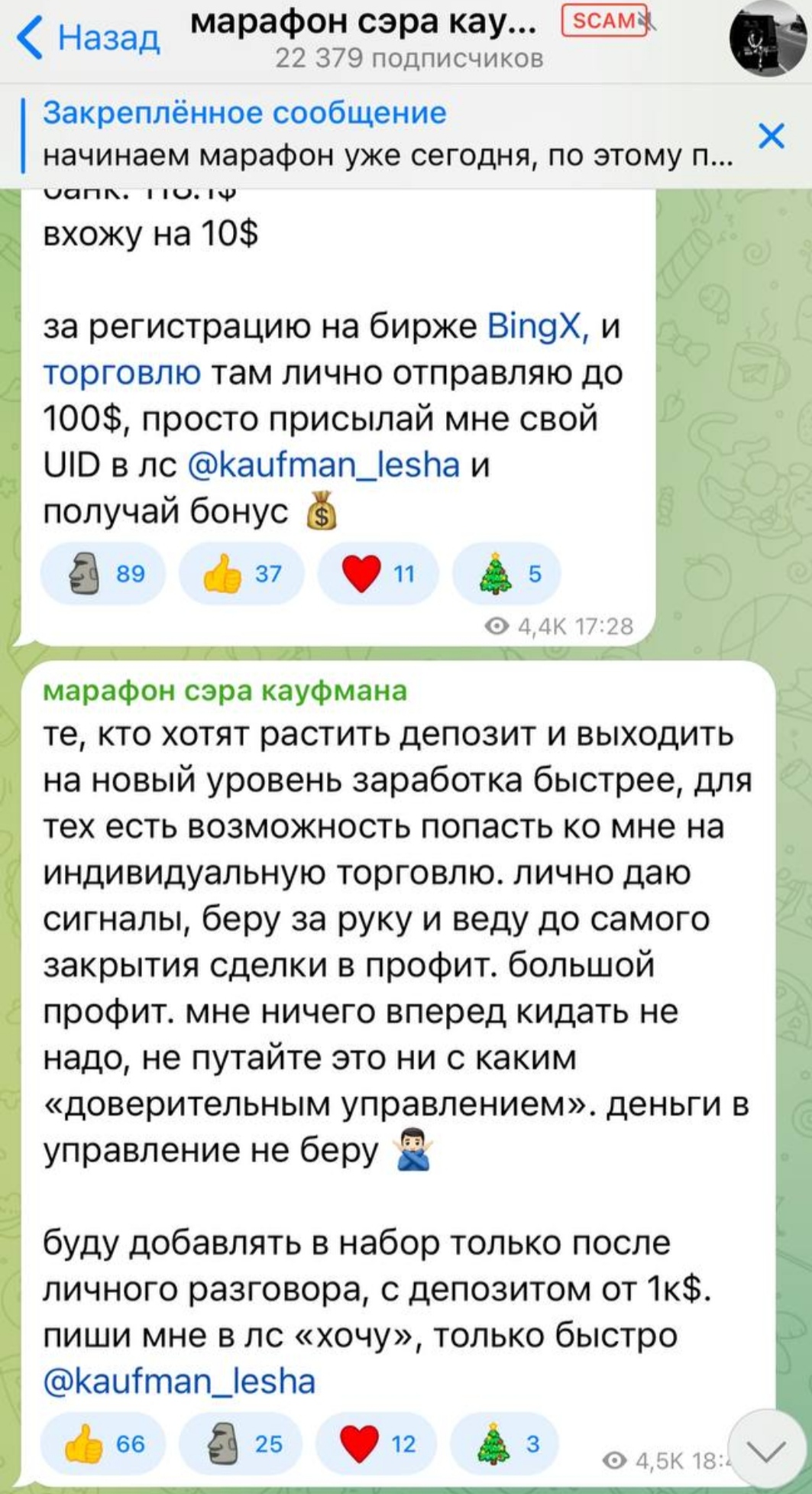 Марафон Сэра Кауфмана телеграм 