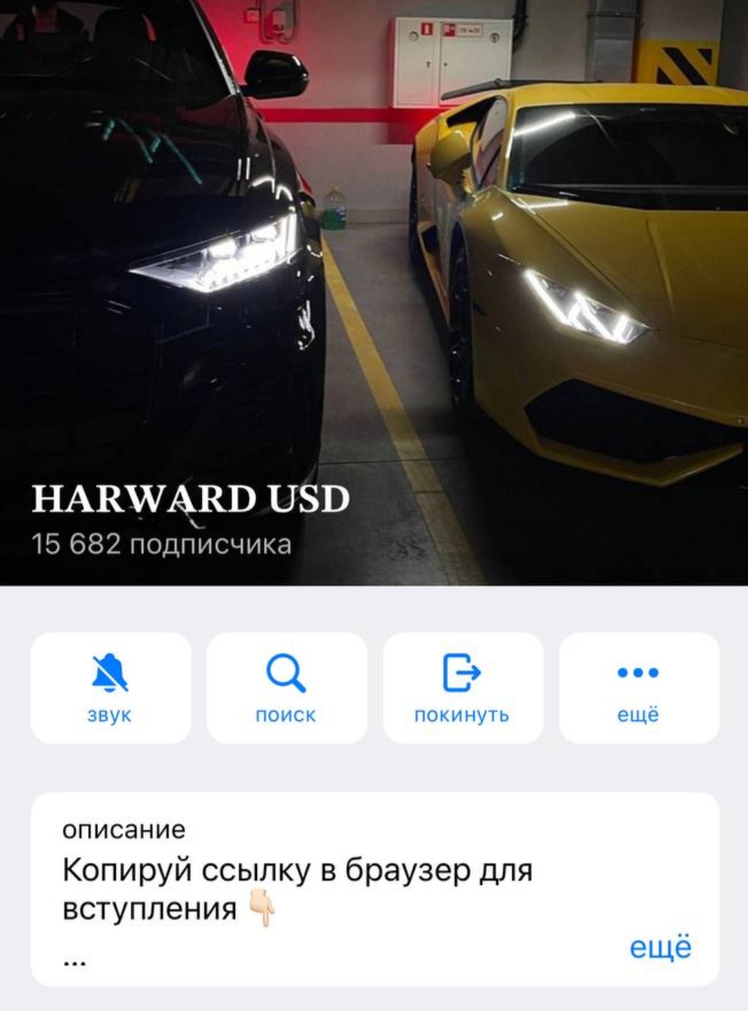 Телеграмм Harvard USD