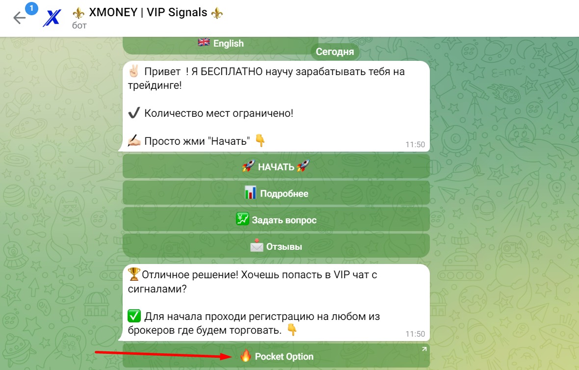 Телеграмм XMoney трейдер Илья